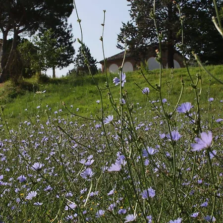 Сasa de vacaciones Opera D'oro *