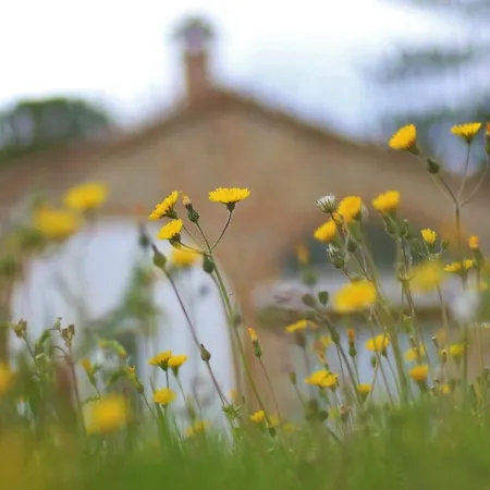 Сasa de vacaciones Opera D'oro Piegaro (Umbria)