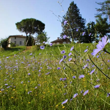 Opera D'oro Piegaro (Umbria)