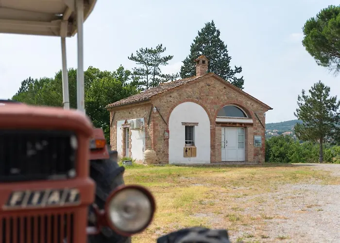 Opera D'oro ピエガーロ