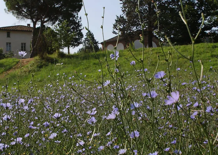 別荘 Opera D'oro *