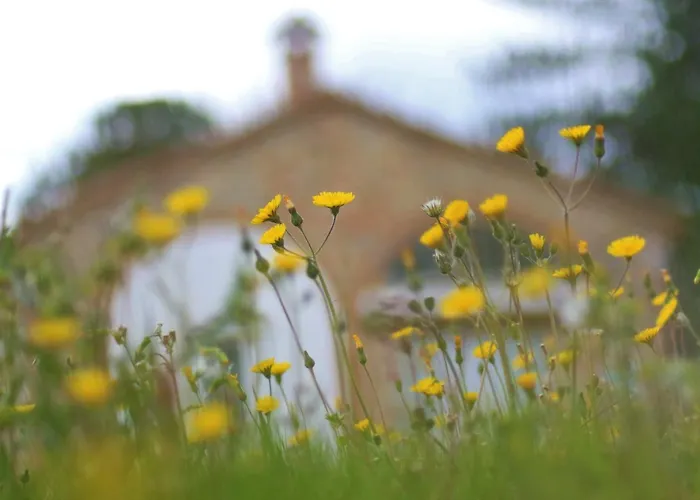 別荘 Opera D'oro ピエガーロ